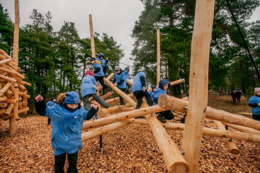 Insights on Using Timber in Play Structures